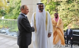 普京会见阿布扎比王储对中东局势表担忧