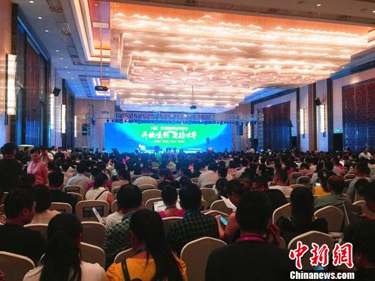 6月23日，“第六届湖南电子商务大会”在长沙召开。　鲁毅 摄