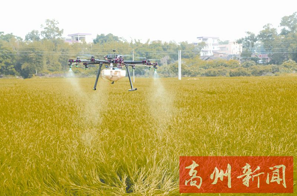 赵广辉调研农业生产“肥药双控”工作