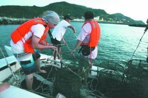 夕阳西下，岛上的“放笼捉蟹”活动开始。蟹笼5个一组用绳子连在一起，里面以臭鱼为饵，吸引大螃蟹们闻香而来